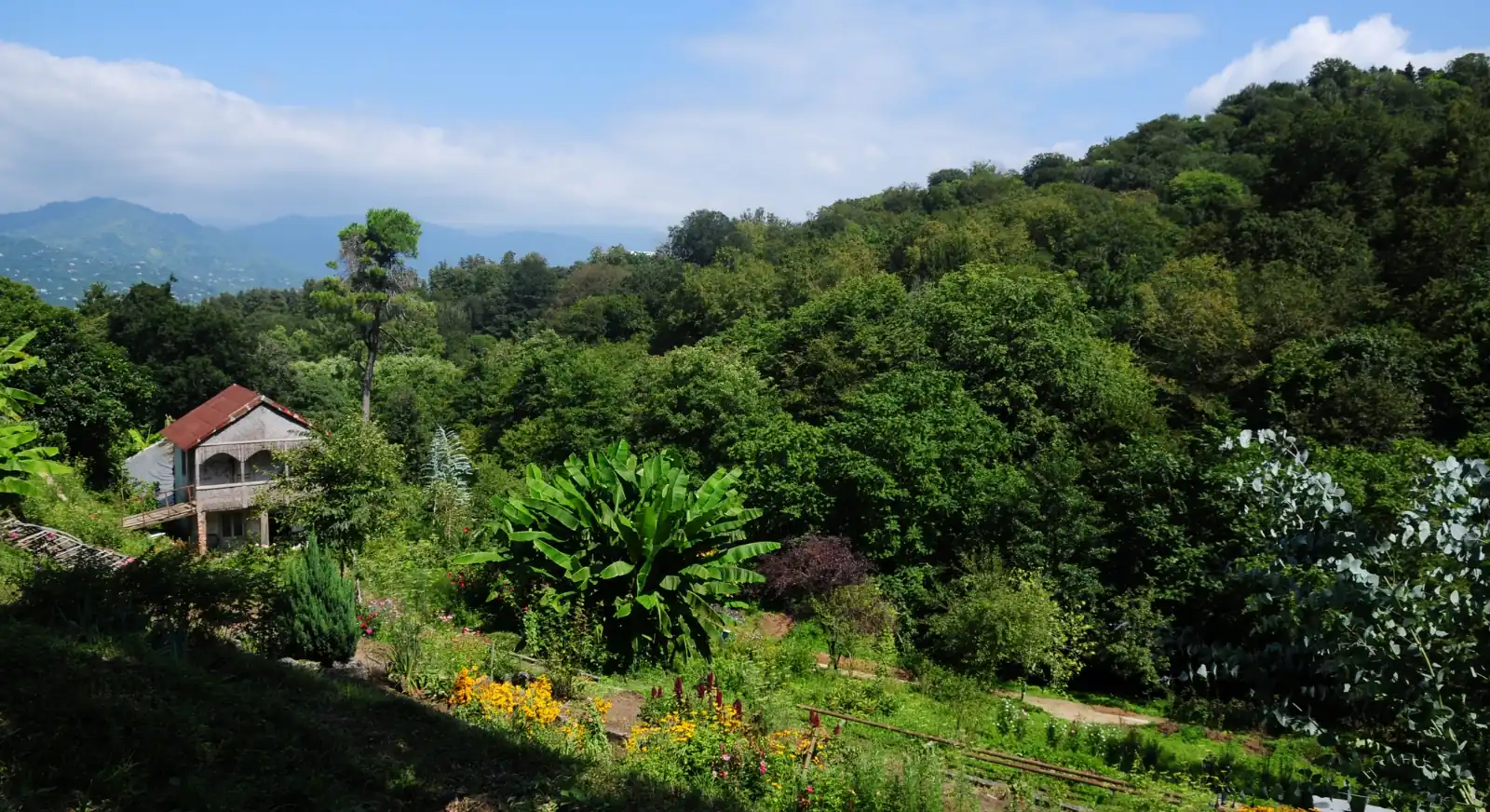 Batumi-Botanical-Garden-IML-Travel