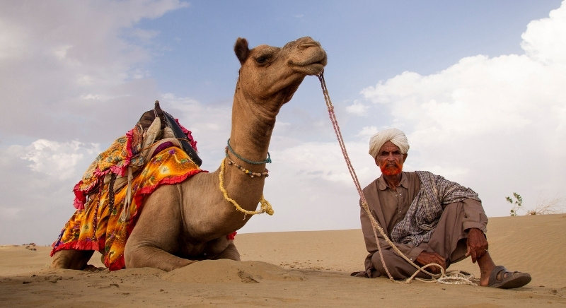Camel-Desert-Jaisalmer-Rajasthan-IML-Travel