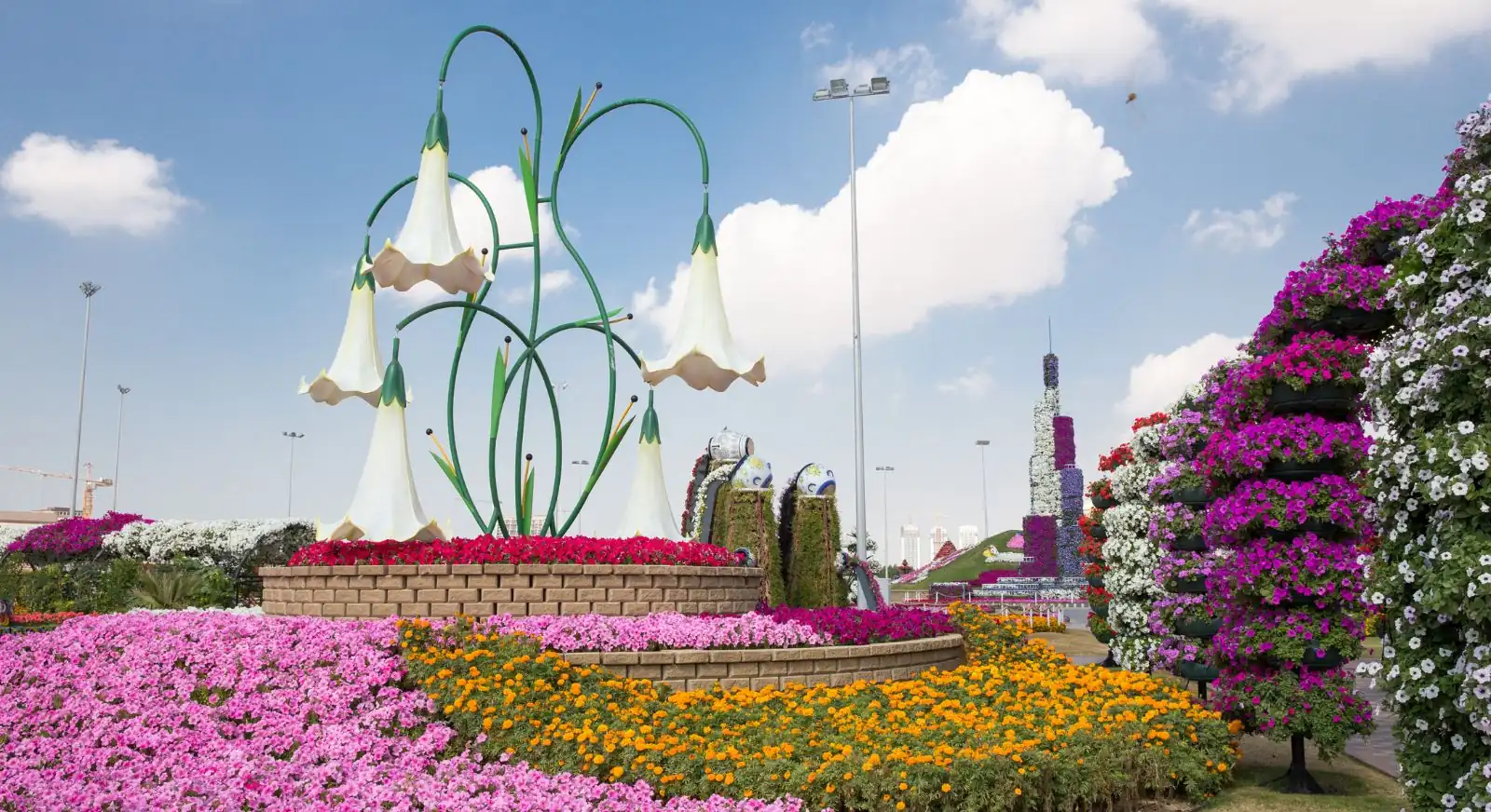 Dubai-Miracle-Garden-United-Arab-Emirates2-IML-Travel