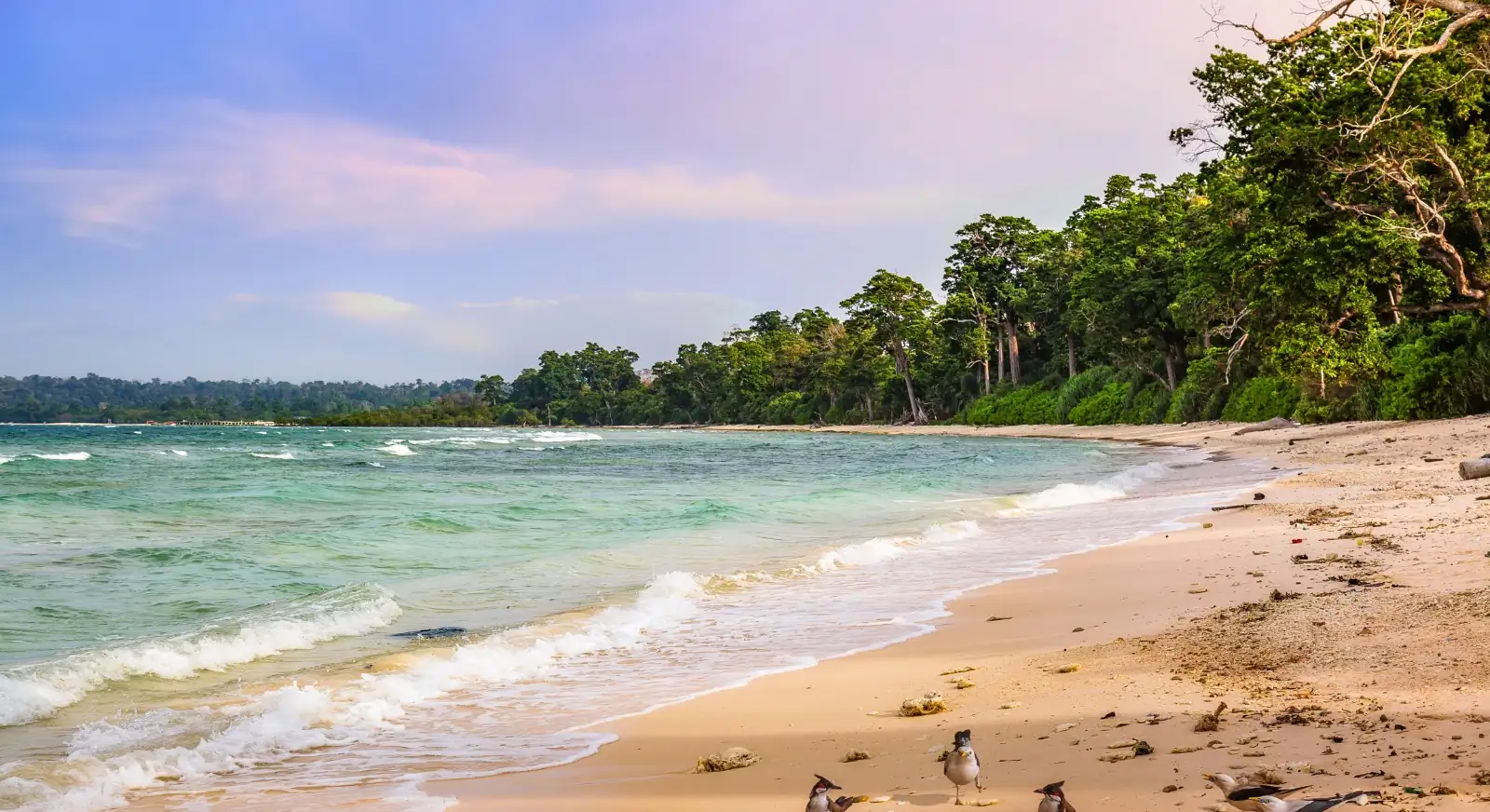 Evening-View-Swaraj-Dweep-Andaman-IML-Travel