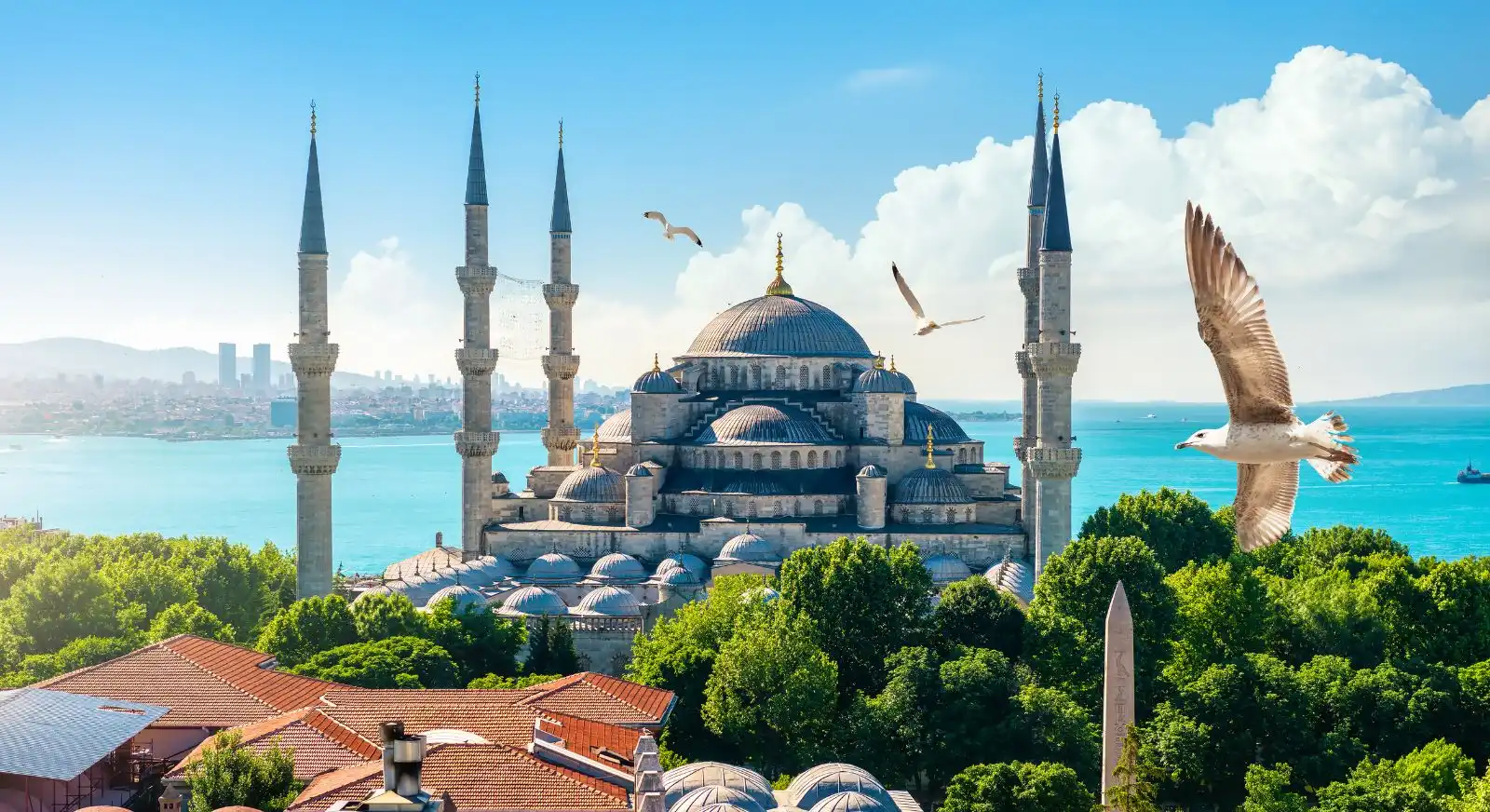 Front-view-of-Blue-Mosque-Istanbul-Turkey-IML-Travel