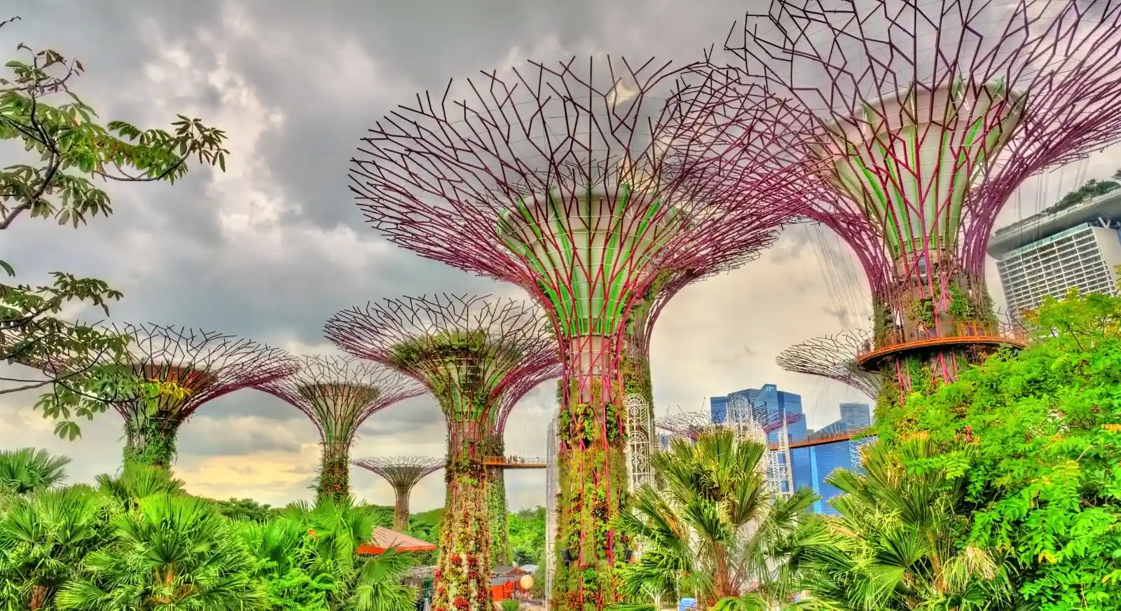 Gardens-by-the-Bay-Singapore-IML-Travel