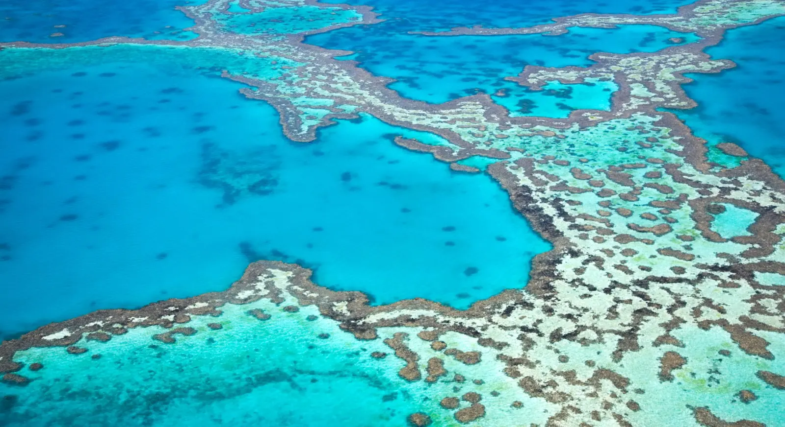 Great-Barrier-Reef-Australia-IML-Travel
