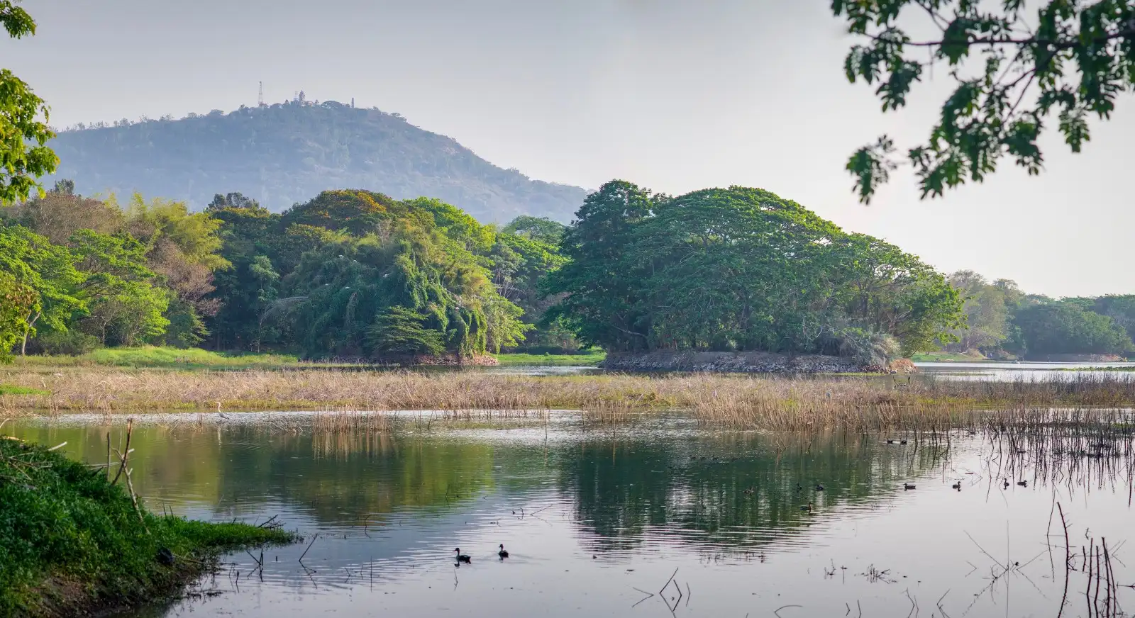 Karanji-Lake-Bird-Sanctuary-Mysore-Karnataka-IML-Travel