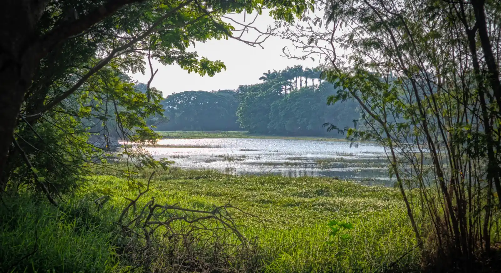 Karanji-Lake-Mysore-Karnataka-IML-Travel