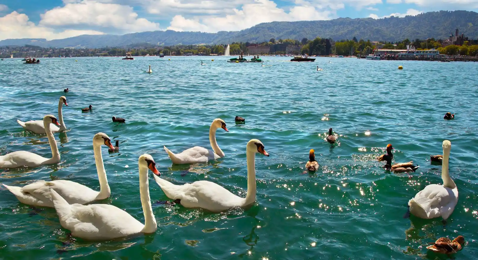 Lake-Zurich-IML-Travel