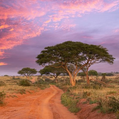 Landscape-of-Uganda-IML-Travel