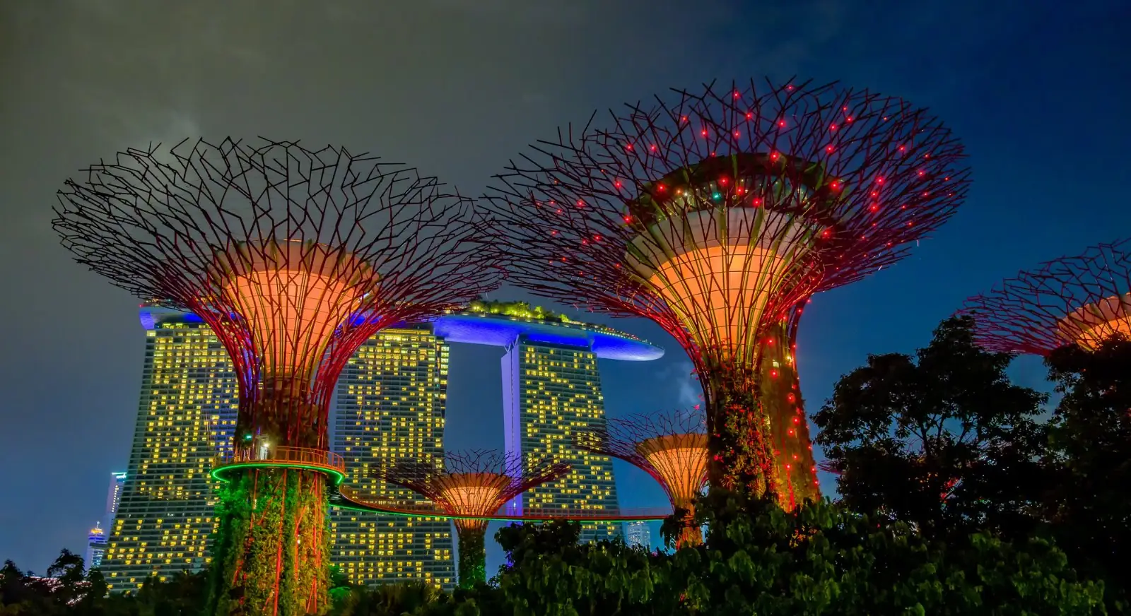 Night-View-Gardens-by-the-Bay-Singapore-IML-Travel (2)