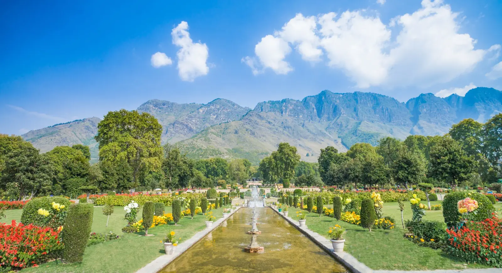 Shah-Kashmir-Arts-Emporium-Srinagar-Jammu-Kashmir-IML-Travel