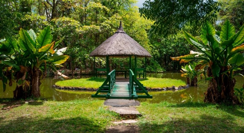 Sir-Seewoosagur-Ramgoolam-Botanical-Garden-Pamplemousses-Mauritius-IML-Travel
