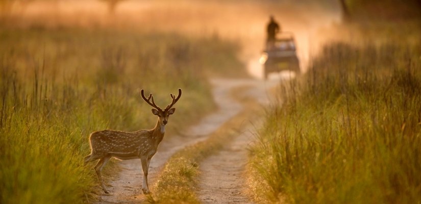 Wildlife-Sanctuary-IML-Travel