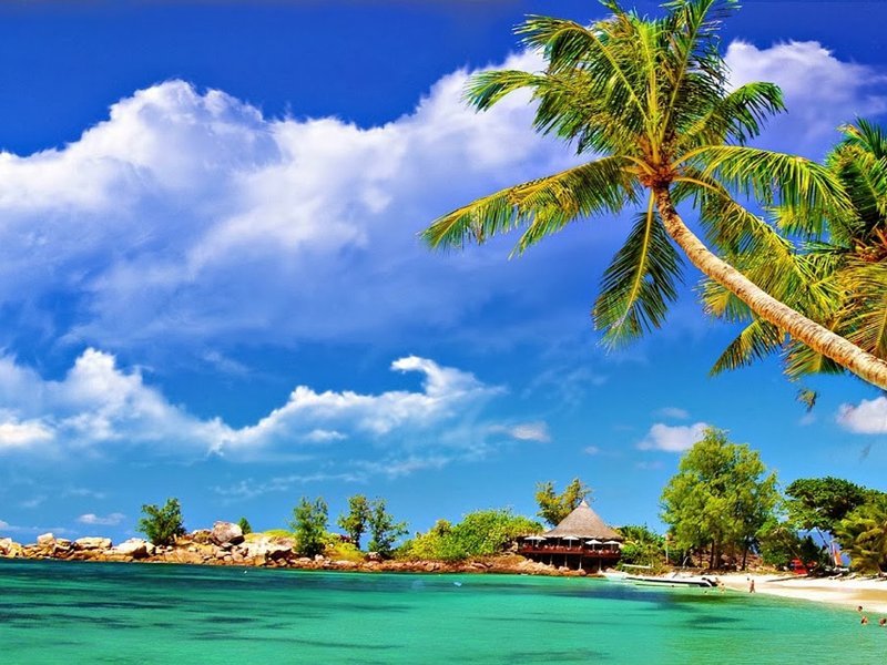 7 Top Beaches in Goa: Beaches that make Goa traveller's favourite place!
