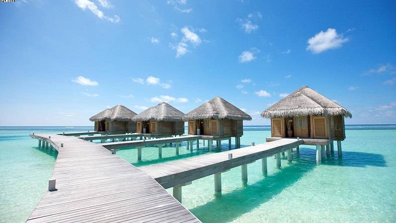 Experience-the-exotic-maldives-vacations-788x443 (10)