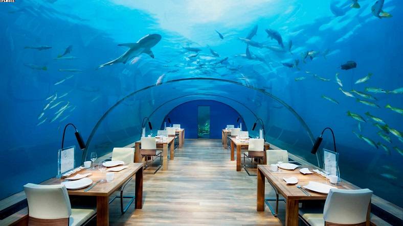 Experience-the-exotic-maldives-vacations-788x443 (8)