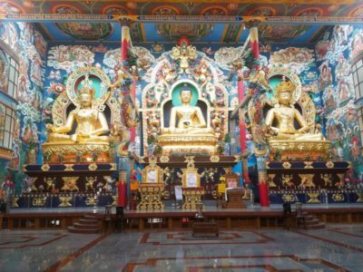 Namdroling-Monastery-IML-travel-compressor