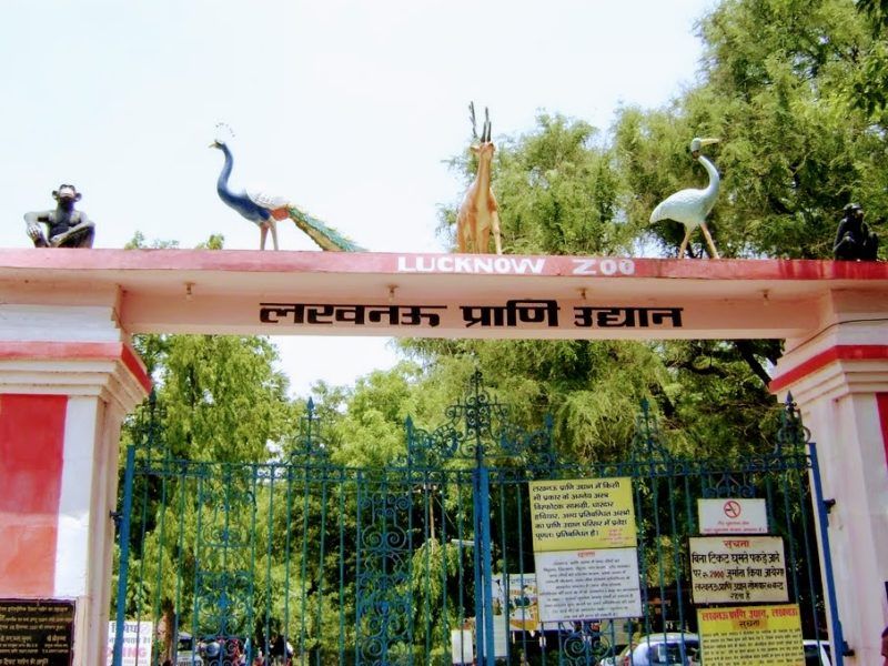 Lucknow-zoo-IML-Travel
