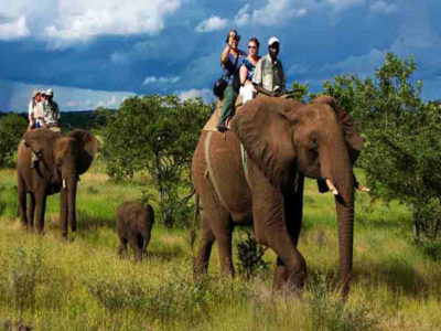 bijrani-elephant-safari-jim-corbett-IML-Travel