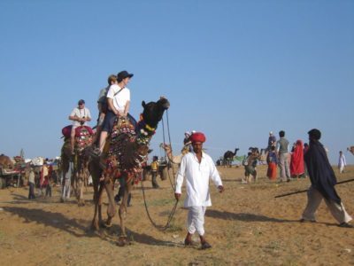 camel-safari-pushkar-IML-Travel