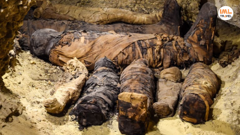 Mummies Discovered in Aswan IML Travel (2)